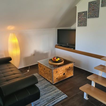 Apartment Marin Ogulin Extérieur photo