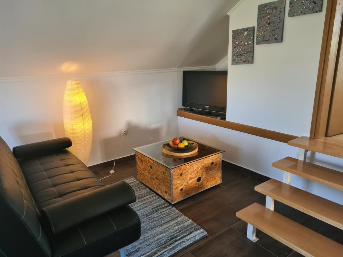 Apartment Marin Ogulin Extérieur photo