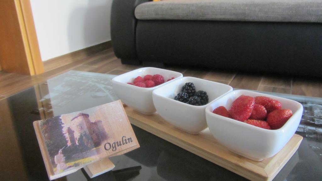 Apartment Marin Ogulin Extérieur photo